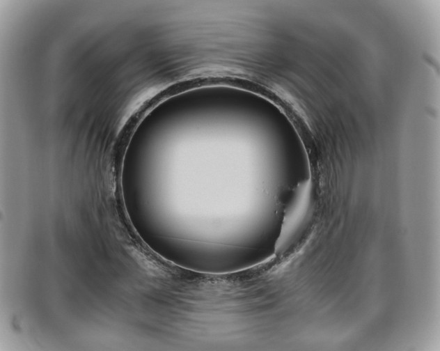 X0000095910973200801181352