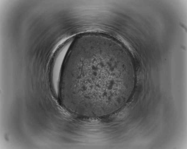 X0000095910975200801181352