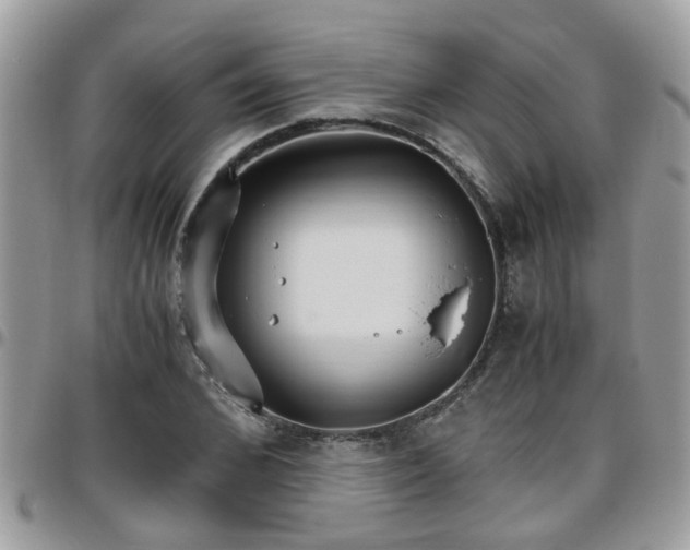 X0000095910976200801181352