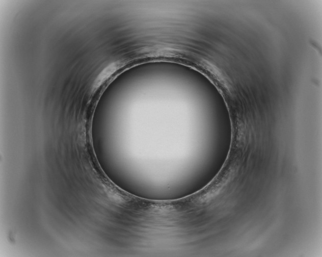 X0000095910978200801181352