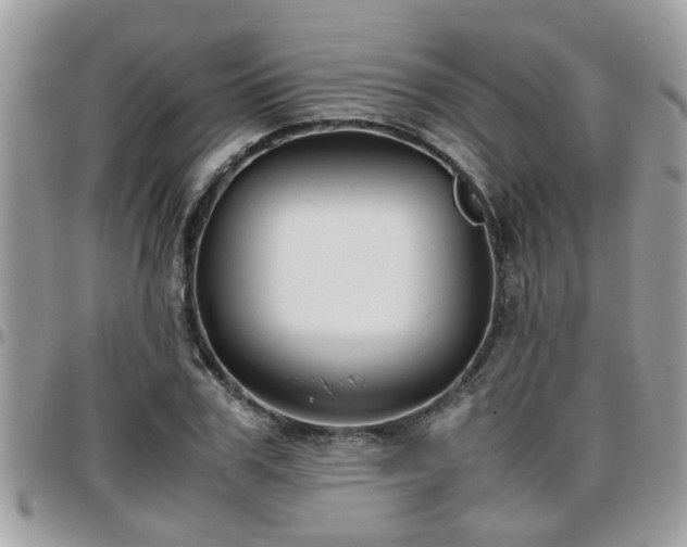 X0000095910979200801181352