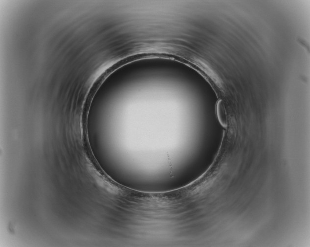 X0000095910980200801181352