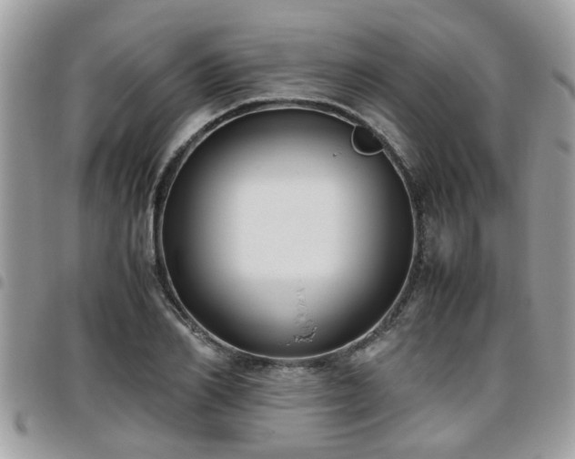 X0000095910982200801181352