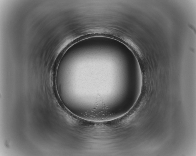 X0000095910983200801181352