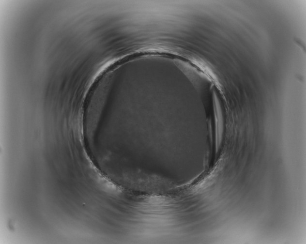 X0000095910984200801181352