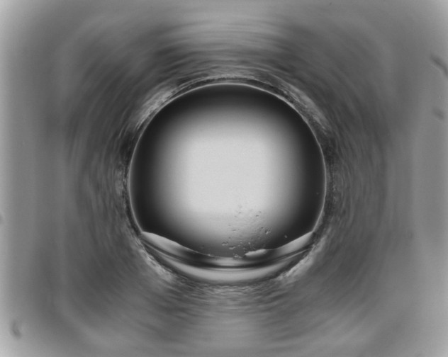 X0000095910985200801181352