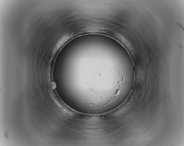 X0000095910986200801181352