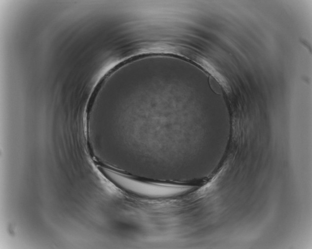 X0000095910988200801181352