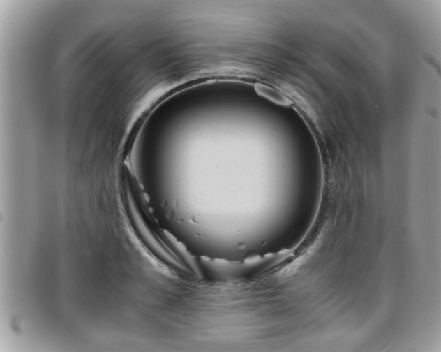 X0000095910989200801181352