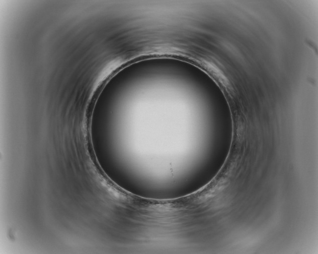 X0000095910990200801181352