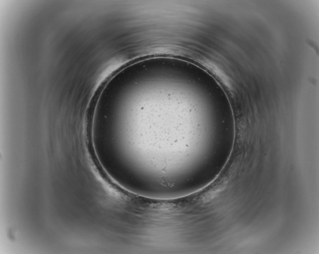 X0000095910991200801181352