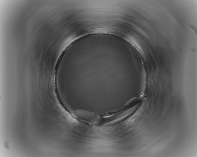 X0000095910992200801181352