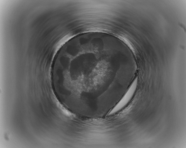 X0000095910995200801181352