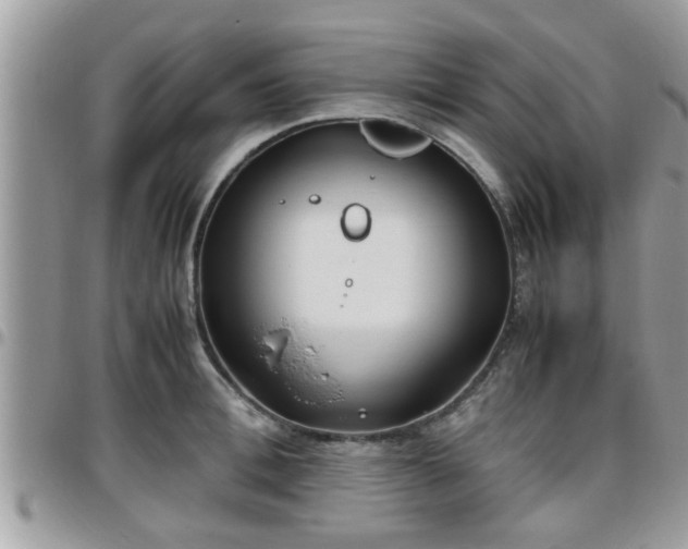 X0000095910996200801181352