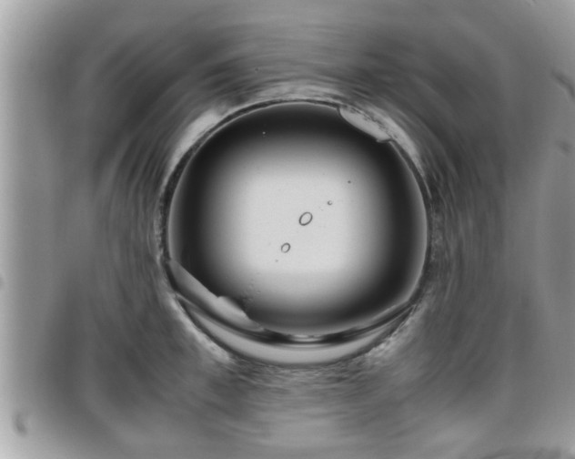 X0000095910997200801181352