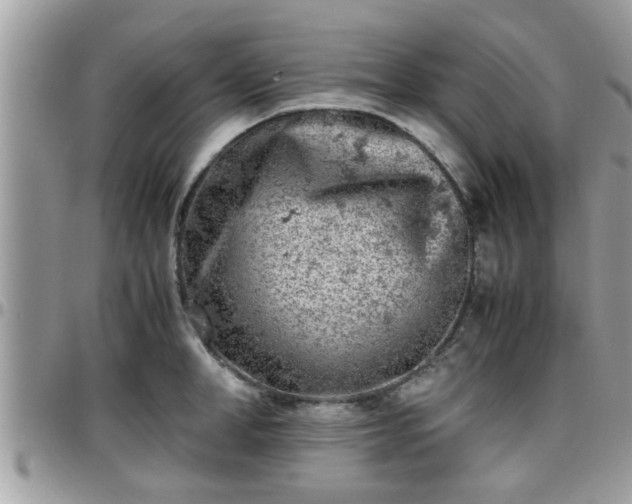 X0000095910998200801181352