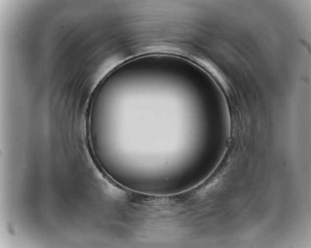 X0000095910999200801181352