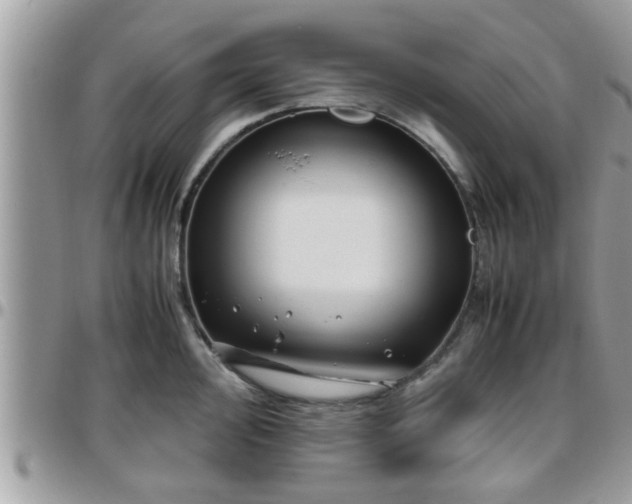 X0000095911000200801181352