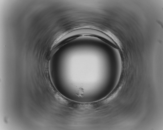 X0000095911001200801181352