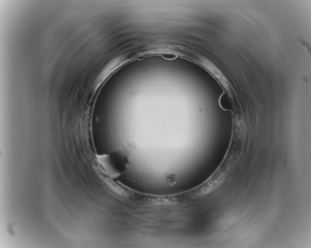 X0000095911002200801181352