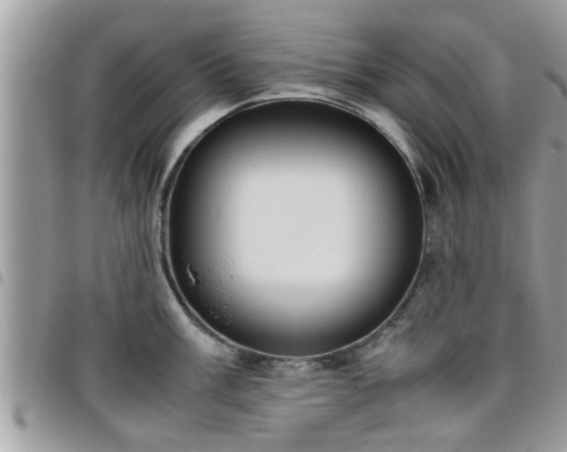 X0000095911003200801181352