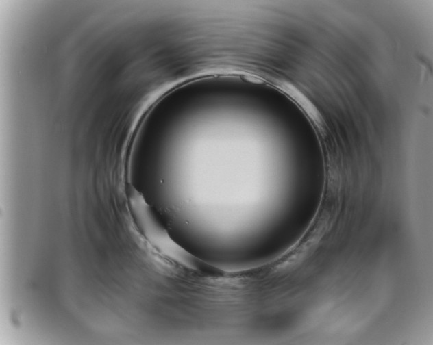 X0000095911004200801181352