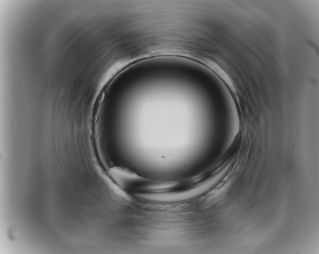 X0000095911005200801181352