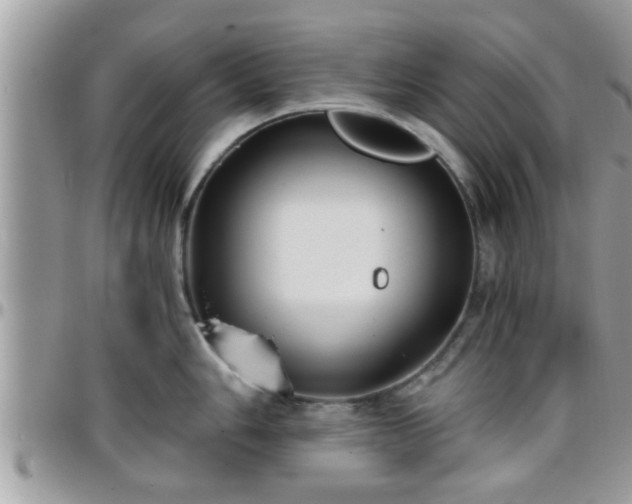 X0000095911006200801181352