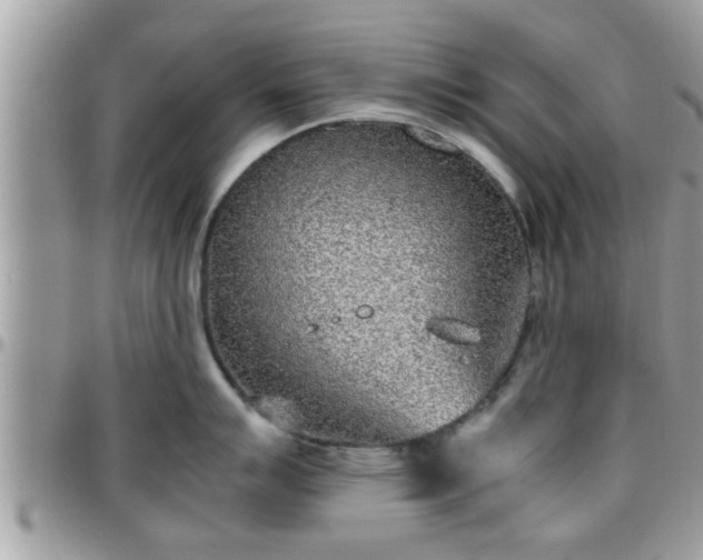 X0000095911007200801181351