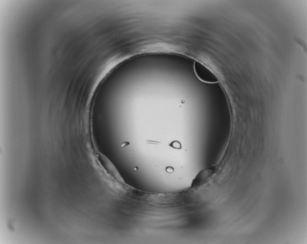 X0000095911008200801181351