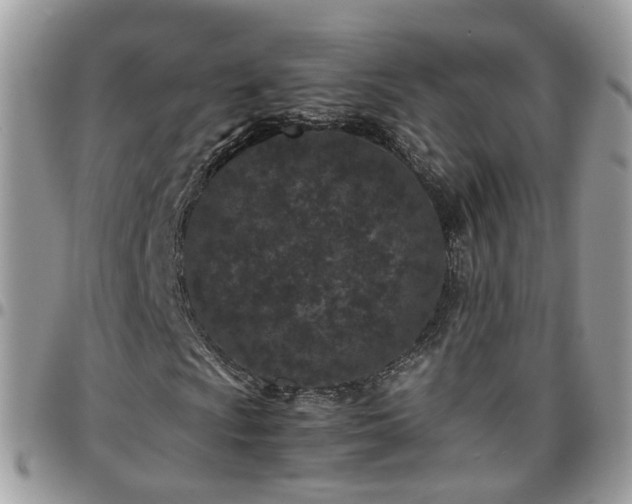 X0000095911009200801181351