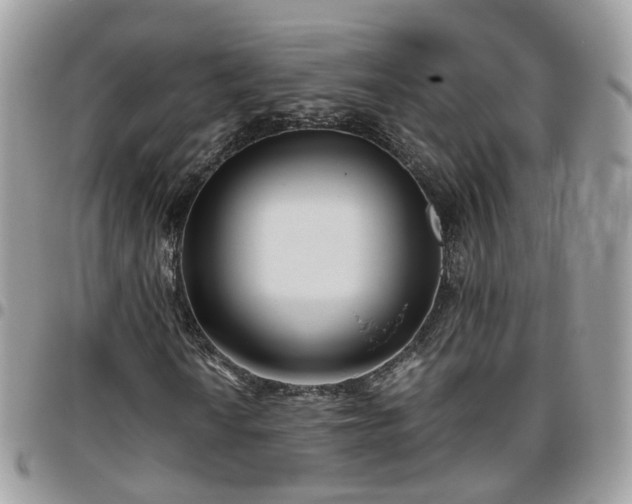 X0000095911010200801181351