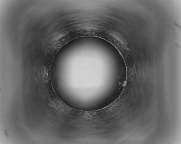 X0000095911013200801181351