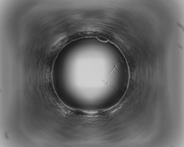 X0000095911014200801181351