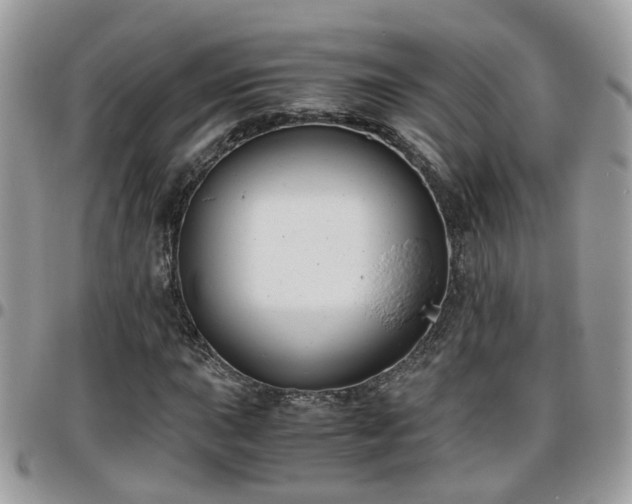 X0000095911015200801181351