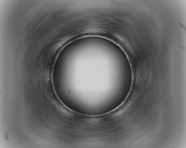 X0000095911017200801181351