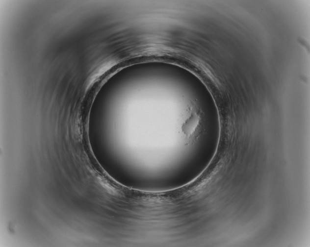 X0000095911018200801181351