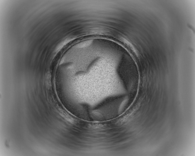 X0000095911019200801181351