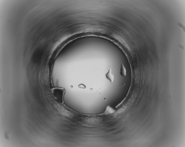 X0000095911021200801181351