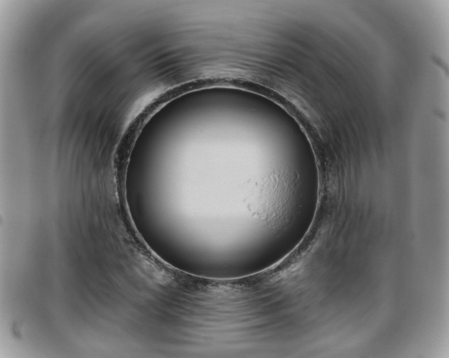 X0000095911022200801181351