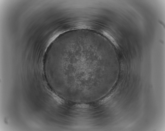 X0000095911023200801181351