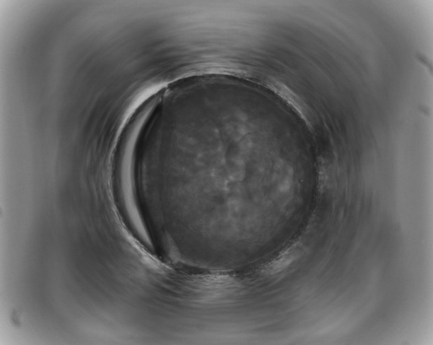 X0000095911024200801181351