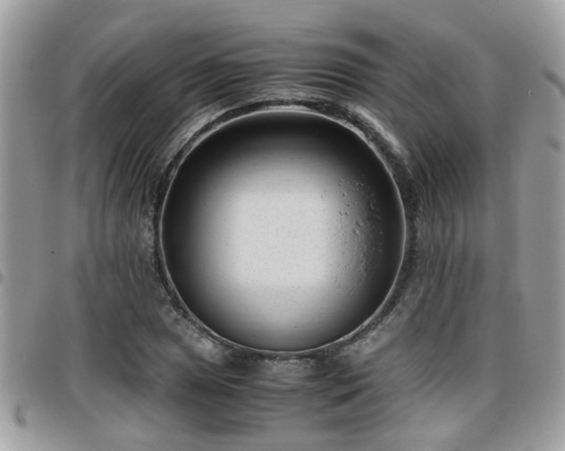 X0000095911025200801181351