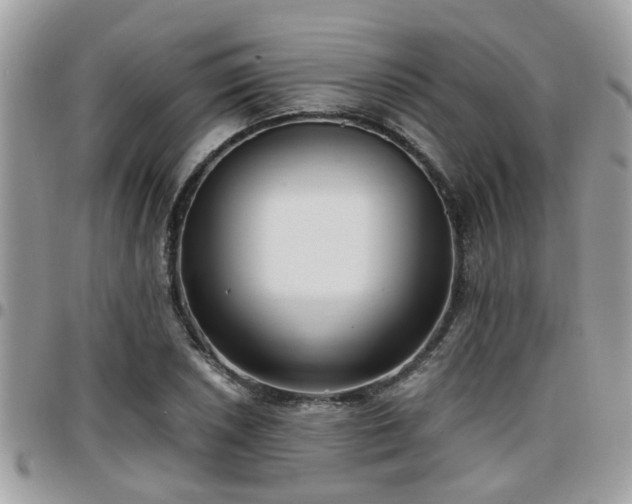 X0000095911026200801181351