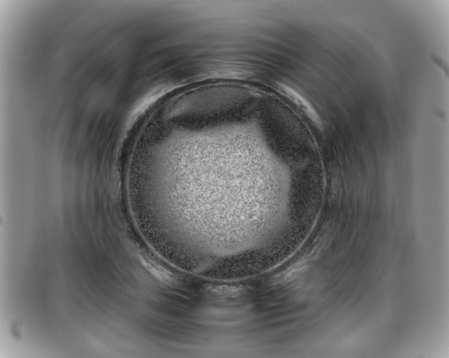 X0000095911027200801181351