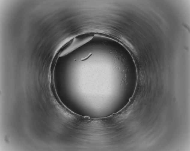 X0000095911028200801181351