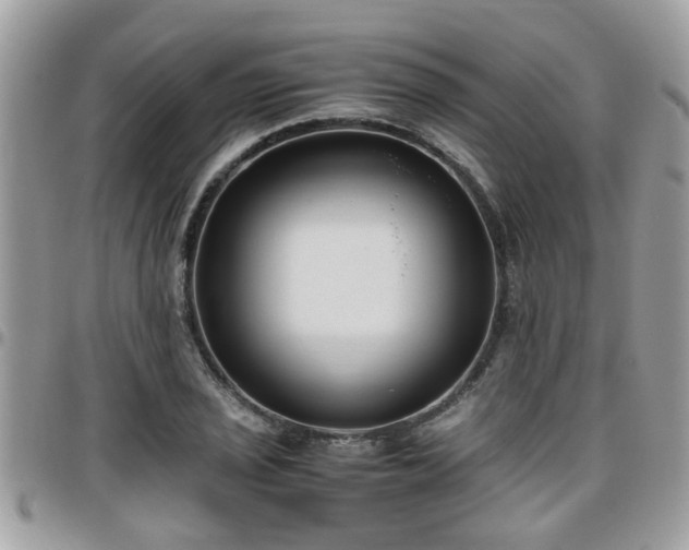 X0000095911029200801181351