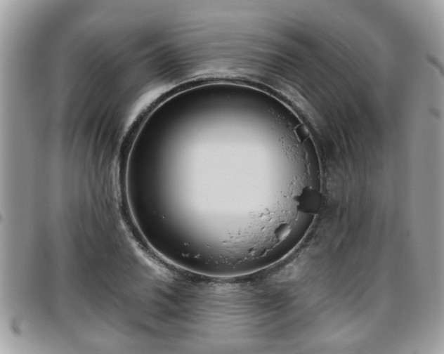 X0000095911030200801181351