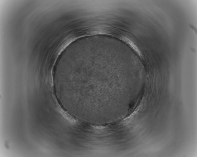 X0000095911031200801181351