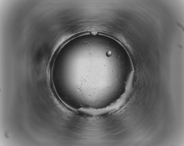 X0000095911032200801181351